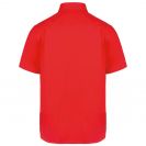 ka587-red-b1.jpg