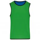 pa046-sporty_royal_bluegreen-a2.jpg