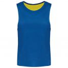pa048-fluorescent_yellowsporty_royal_blue-a2.jpg