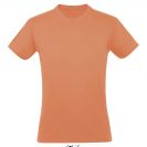 so11380-apricot-a1.jpg