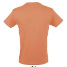 so11380-apricot-b1.jpg
