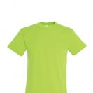 so11380-lime-a.jpg