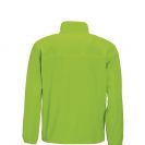 so55000-lime-b.jpg
