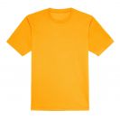 jc001-gold-b2.jpg
