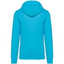ns401-light_turquoise-b1.jpg