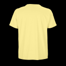so03806-light_yellow-b2.png