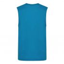 jc022-sapphire_blue-b1.jpg