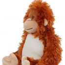 mm060-orangutan-a2.jpg