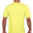 gi4100-cornsilk-b1.jpg