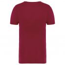 ns307-hibiscus_red-b1.jpg