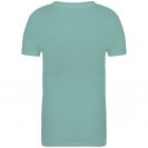 ns307-jade_green-b1.jpg