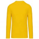 ka358-yellow-b1.jpg