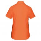 ka548-orange-b1.jpg