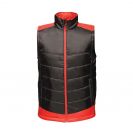 retra841-blackclassic_red-a1.jpg