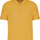 ka241-yellow-a1.jpg