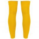 pa095-sporty_yellow-b1.jpg