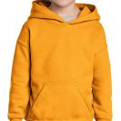 gib18500-gold-a1.jpg