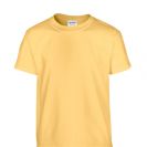 gib5000-yellow_haze-c1.jpg