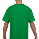 gib64000-irish_green-b1.jpg