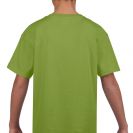 gib64000-kiwi-b1.jpg