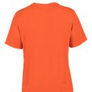 gi42000-orange-d1.jpg