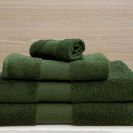 11475_ol450-bottle_green-a1.jpg