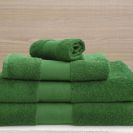 ol450-kelly_green-a2.jpg