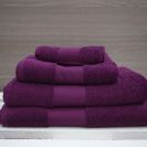 ol450-plum-a2.jpg