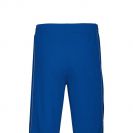 pa161-sporty_royal_blue-b1.jpg