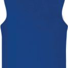 pa461-sporty_royal_blue-b1.jpg