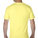 gi41v00-cornsilk-a2.jpg
