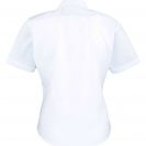 pr312-white-b1.jpg