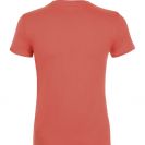 so01825-coral-b1.jpg