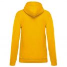 ka473-yellow-b1.jpg