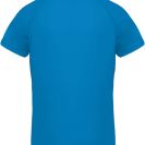 pa476-aqua_blue-b1.jpg