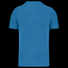 pa476-aqua_blue-b1.png