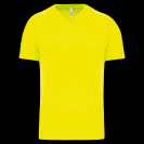 pa476-fluorescent_yellow-a1.png