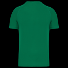 pa476-kelly_green-b1.png