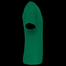 pa476-kelly_green-c1.png