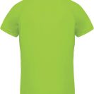 pa476-lime-b1.jpg