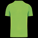 pa476-lime-b1.png