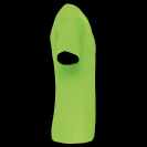 pa476-lime-c1.png