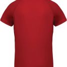 pa476-red-b1.jpg