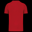 pa476-red-b1.png
