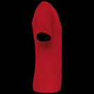 pa476-red-c1.png