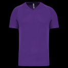 pa476-violet-a1.png