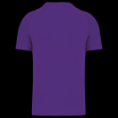 pa476-violet-b1.png