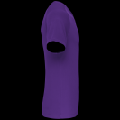 pa476-violet-c1.png
