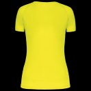 pa477-fluorescent_yellow-b1.png