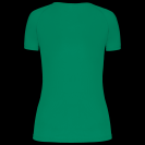 pa477-kelly_green-b1.png